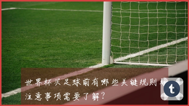 世界杯买足球前有哪些关键规则与注意事项需要了解?