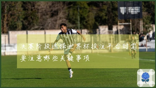 决赛阶段选择世界杯投注平台时需要注意哪些关键事项