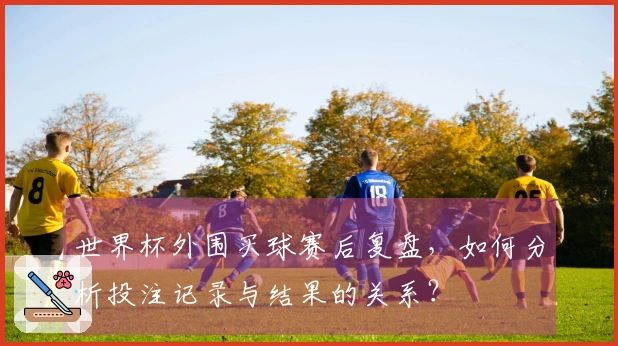 世界杯外围买球赛后复盘，如何分析投注记录与结果的关系？