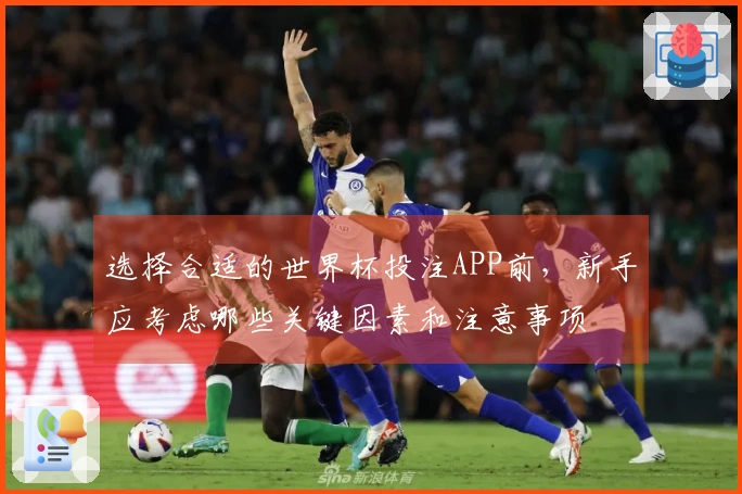 选择合适的世界杯投注APP前，新手应考虑哪些关键因素和注意事项