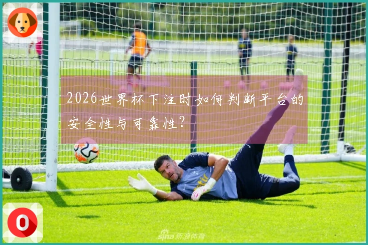2026世界杯下注时如何判断平台的安全性与可靠性？