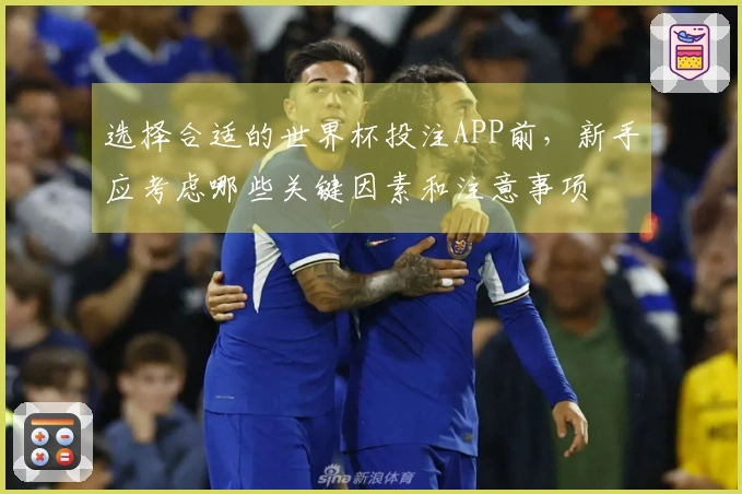 选择合适的世界杯投注APP前，新手应考虑哪些关键因素和注意事项