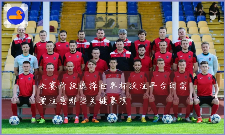决赛阶段选择世界杯投注平台时需要注意哪些关键事项